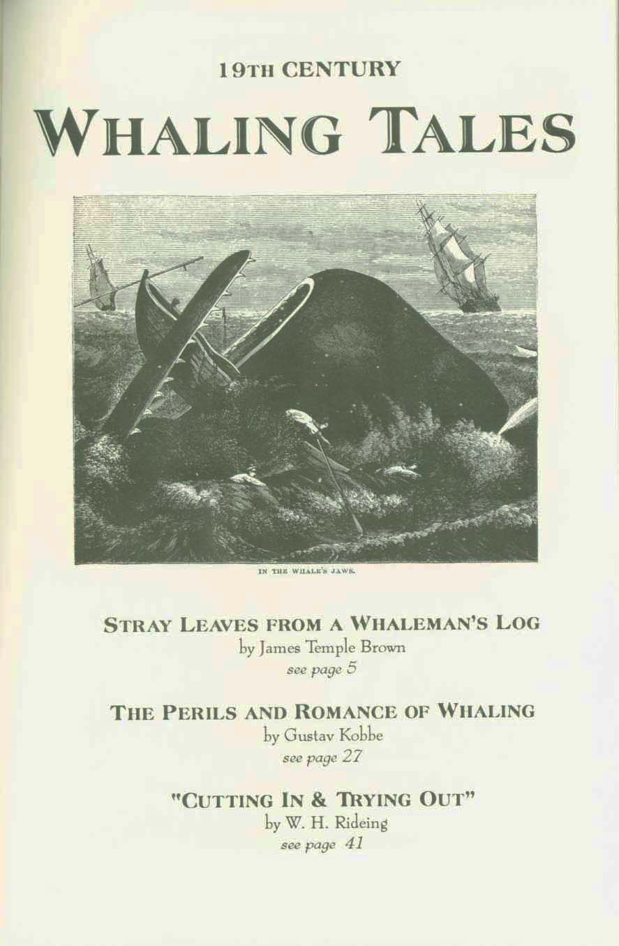 19th CENTURY WHALING TALES. VIST0089m